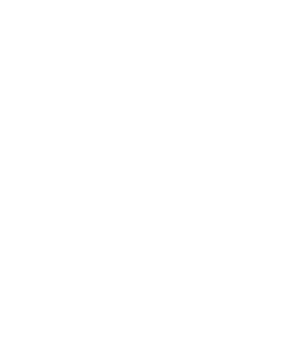 TikTok Logo